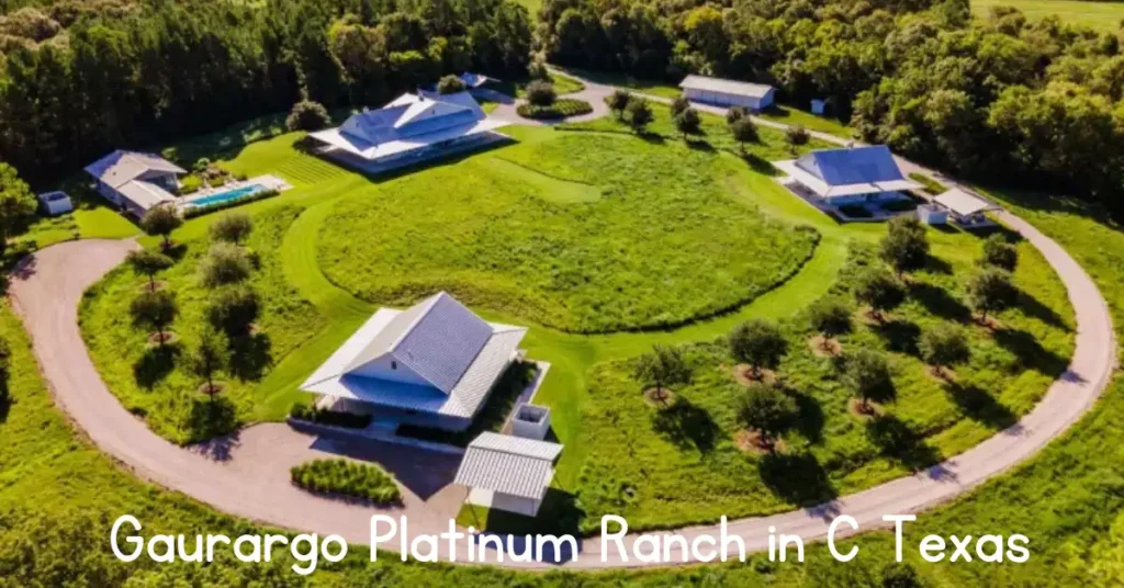 Gaurargo Platinum Ranch in C Texas